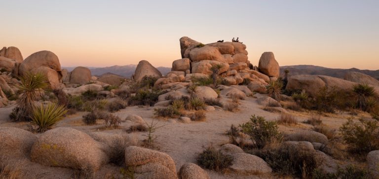 Where to Stay in Joshua Tree in 2023: 25 Best Hotels, Cabins and Campgrounds