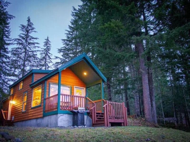 Cozy Mount Rainier Wood Cabin in Ashford - River's Edge