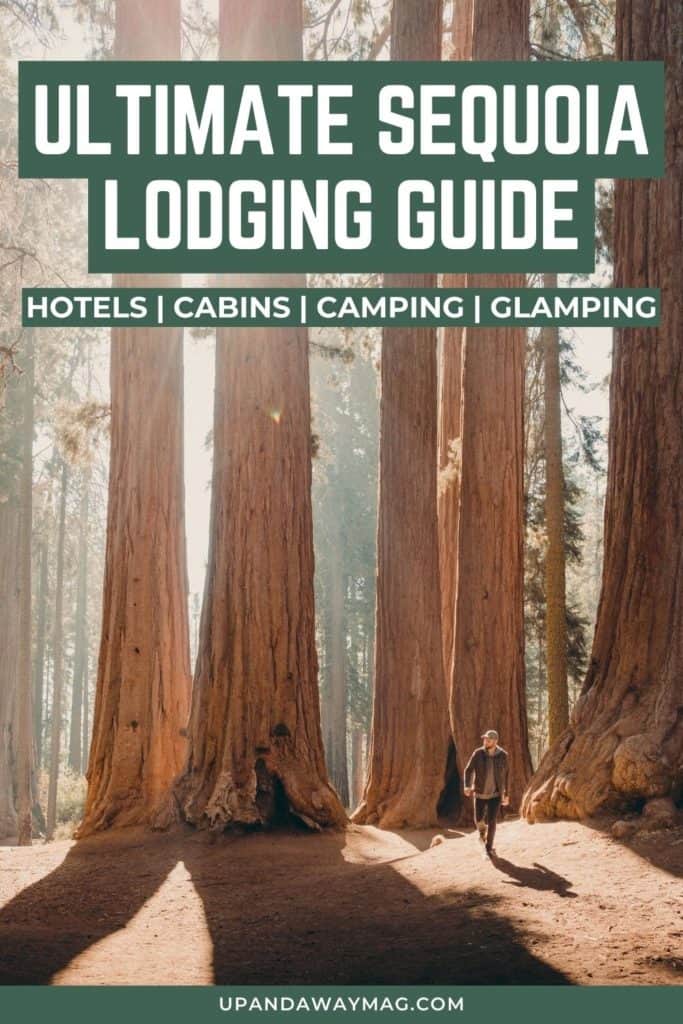 Pinterest graphic with man standing in front of a grove of giant Sequoia trees with text reading 