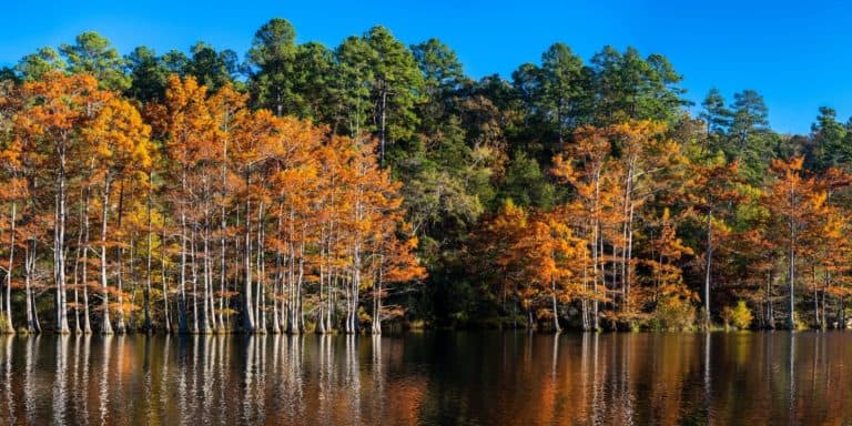 18 Best Broken Bow Luxury Cabins (with Hot Tubs!)