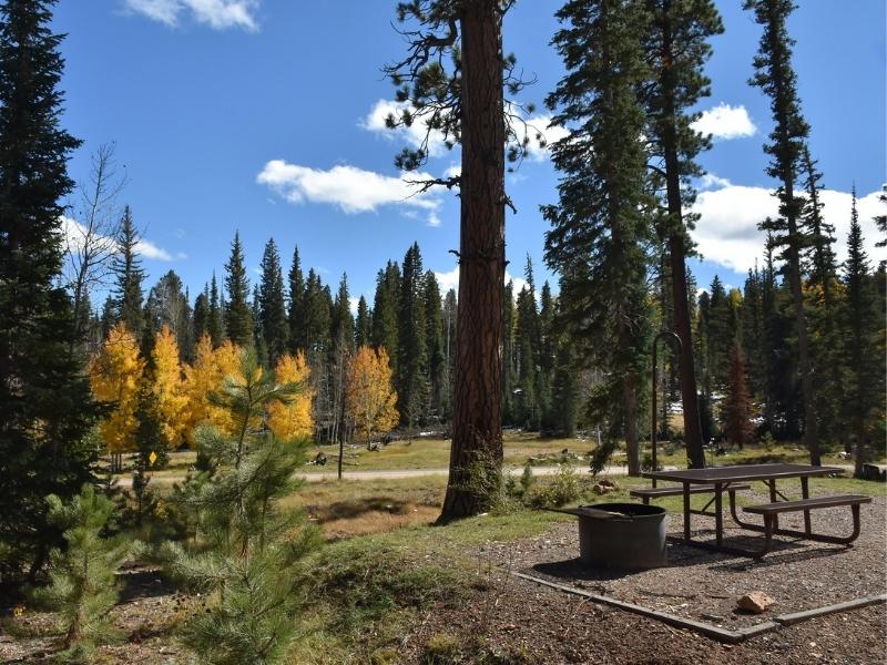 Campsite at De Motte Campground with picnic table and fire ring near Grand Canyon North Rim entrance