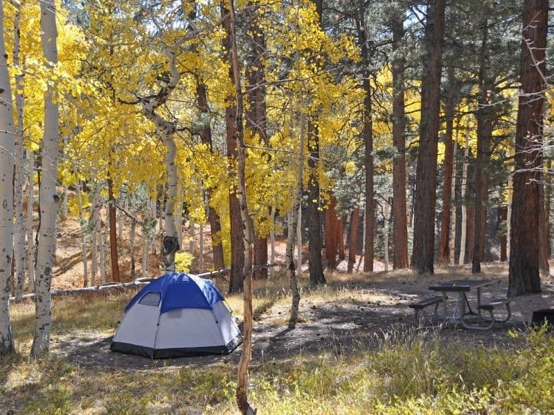 Shaded campsite at Grand Canyon North Rim Campground with tent, picnic table and fire ring.