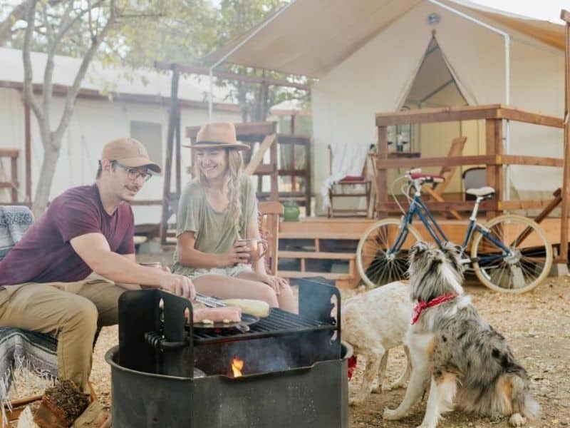 People sitting around a fire bbqing with 2 dogs at Wildhaven Sonoma - Bay Area Glamping