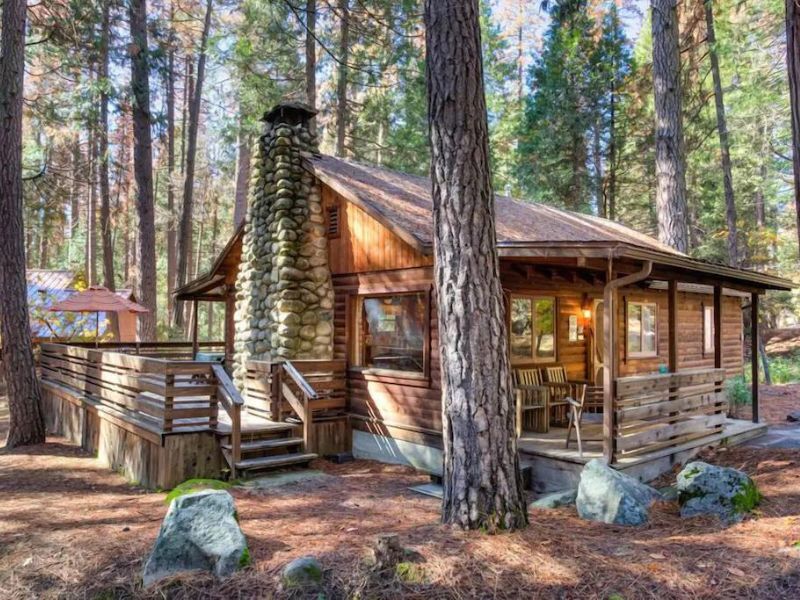 Traditional wood cabin in the forest - pet friendly cabins in Yosemite