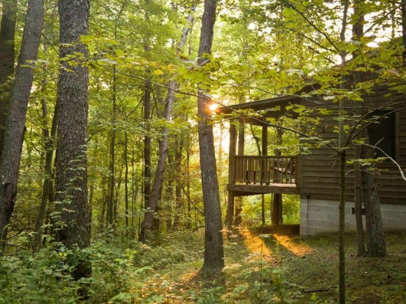 Cabin in the woods at Inn and Spa at Cedar Falls