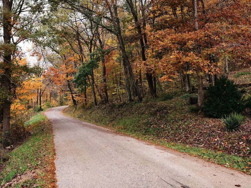 Road with Fall foliage in Hocking Hills, OH