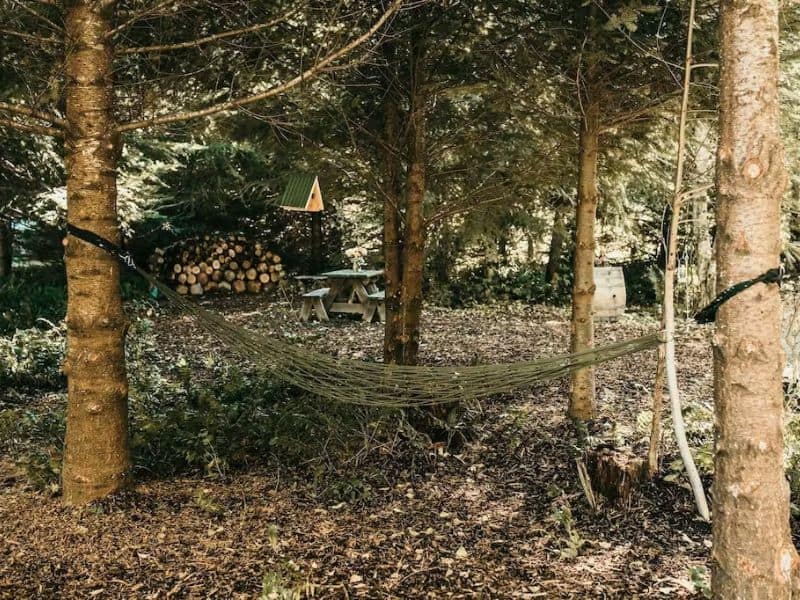 Shaded area with hammock, hanging bird feeder, and picnic table