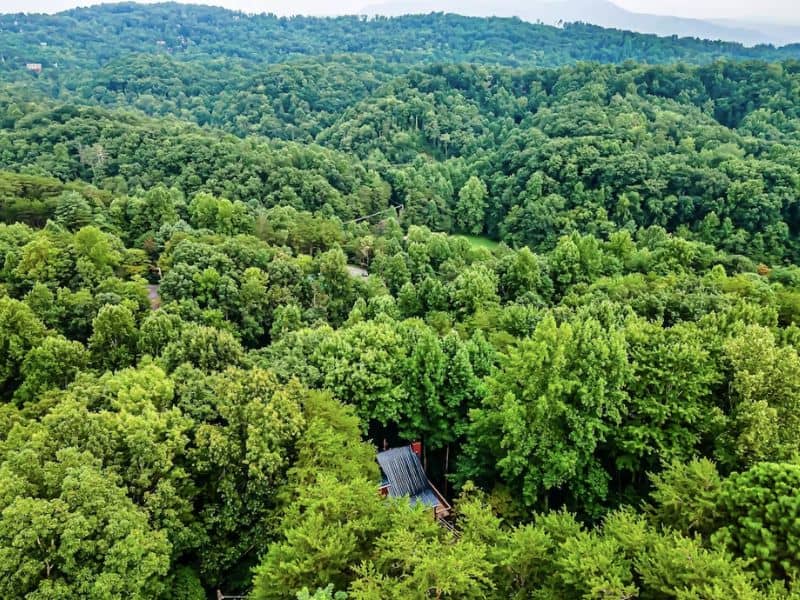 Aerial view of small cabin engulfed by forest in the Great Smoky Mountains