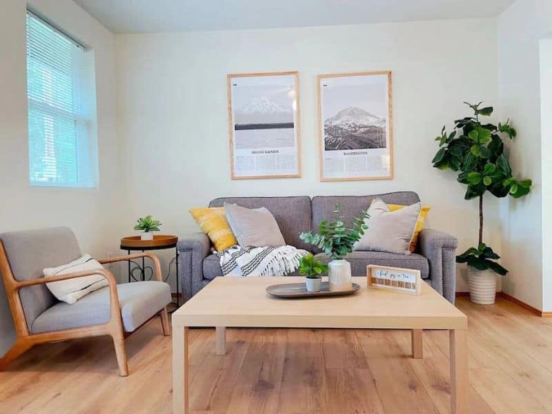 Modern cozy living room with couch, coffee table, and throw pillows