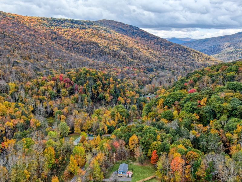 Expansive view of the colorful autumn foliage surrounding a secluded Catskills Vrbo rental.