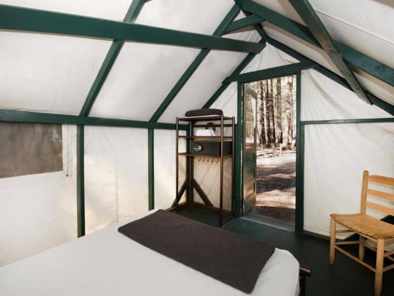 Interior of a basic canvas tent cabin at Curry Village in Yosemite with a bed,storage shelf, and woodland views. Part of a guide to the best glamping options in and near Yosemite National Park.