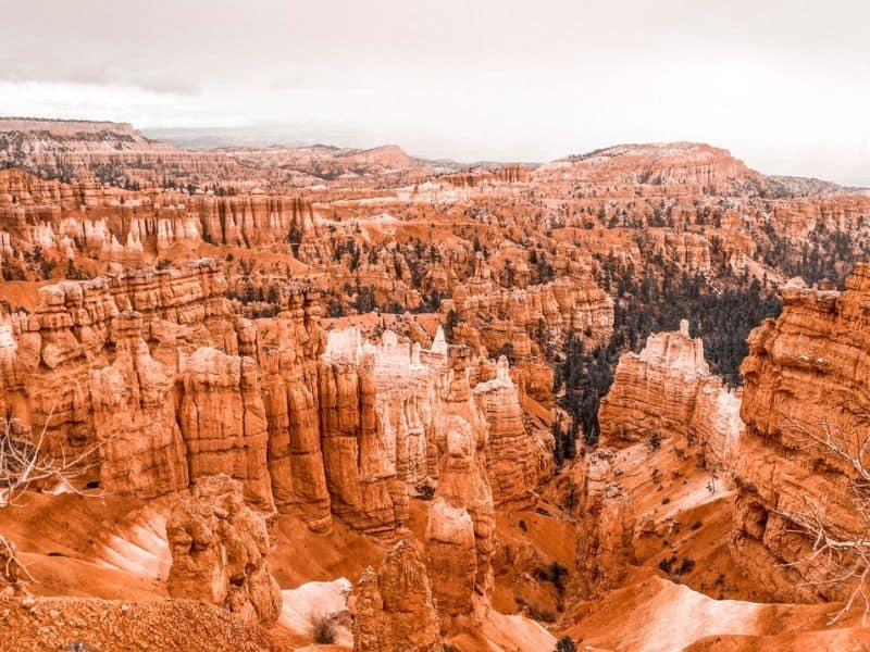 Overlook view of Bryce Canyon National Park, showcasing distinctive hoodoos and spires with subtle variations in orange and red rock layers under an overcast sky. 