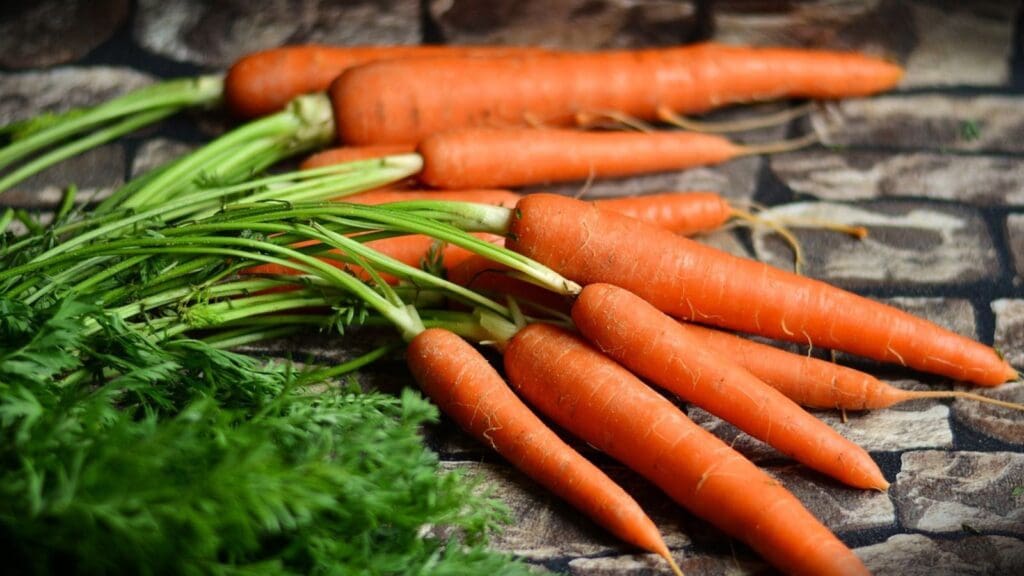 Carrots Repair Bad Eyesight