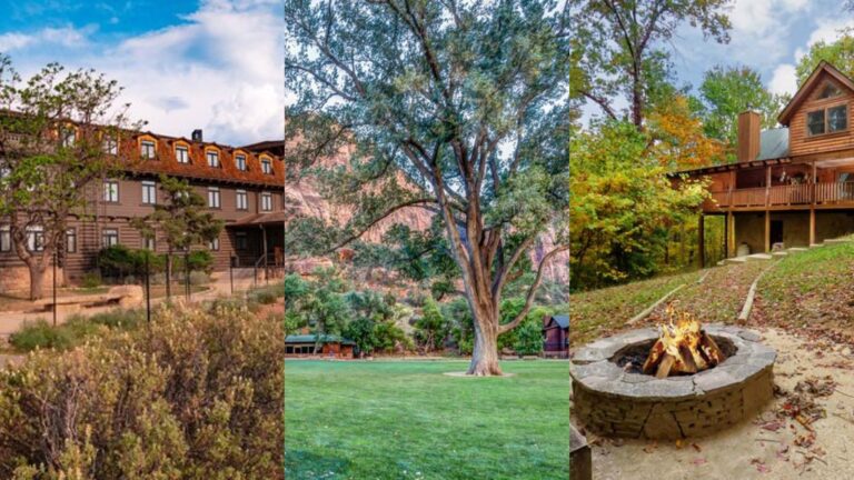 14 Wheelchair‑Friendly Stays Near Top Parks