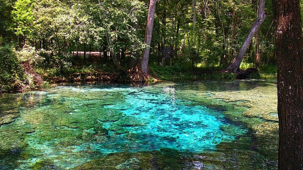 Devil’s System at Ginnie Springs, Florida