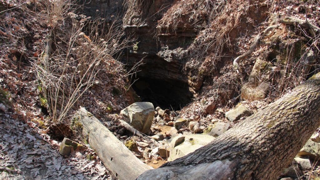 Ellison’s Cave, Georgia