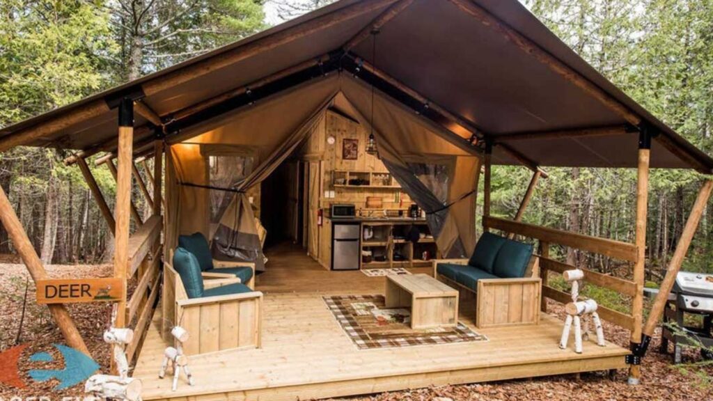 Woods of Eden Glampground, near Acadia