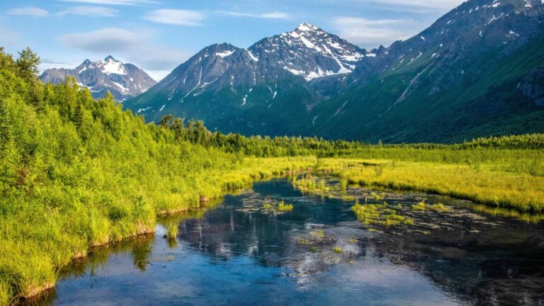 Why everyone is googling these 12 American state parks in 2026